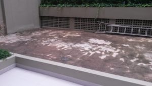 Jardim sem grama sintética