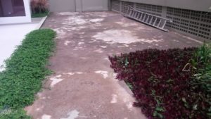 Jardim sem grama sintética