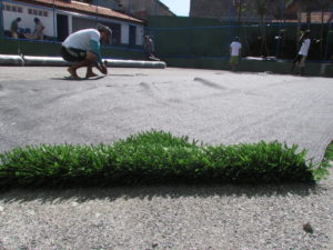 Campo Grama Sintetica dia 6