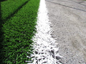 Campo Grama Sintetica dia 7.1