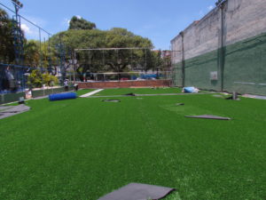 Campo Grama Sintetica dia 9