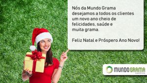 Grama sintética para o natal