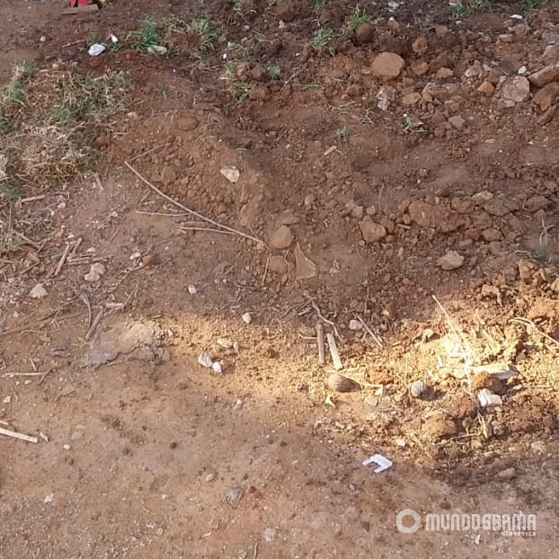 Remoção total da grama natural do solo