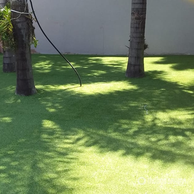 Grama sintética instalada com árvores no terreno