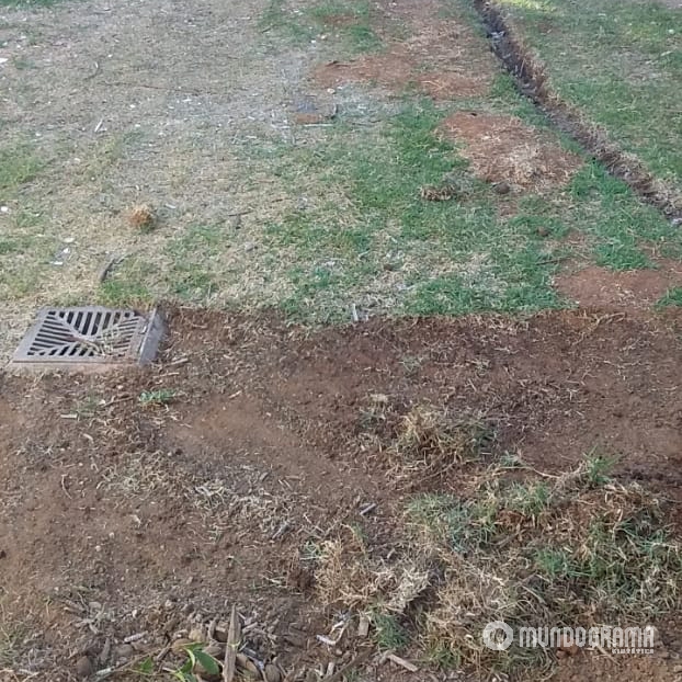 Grama natural degradada 