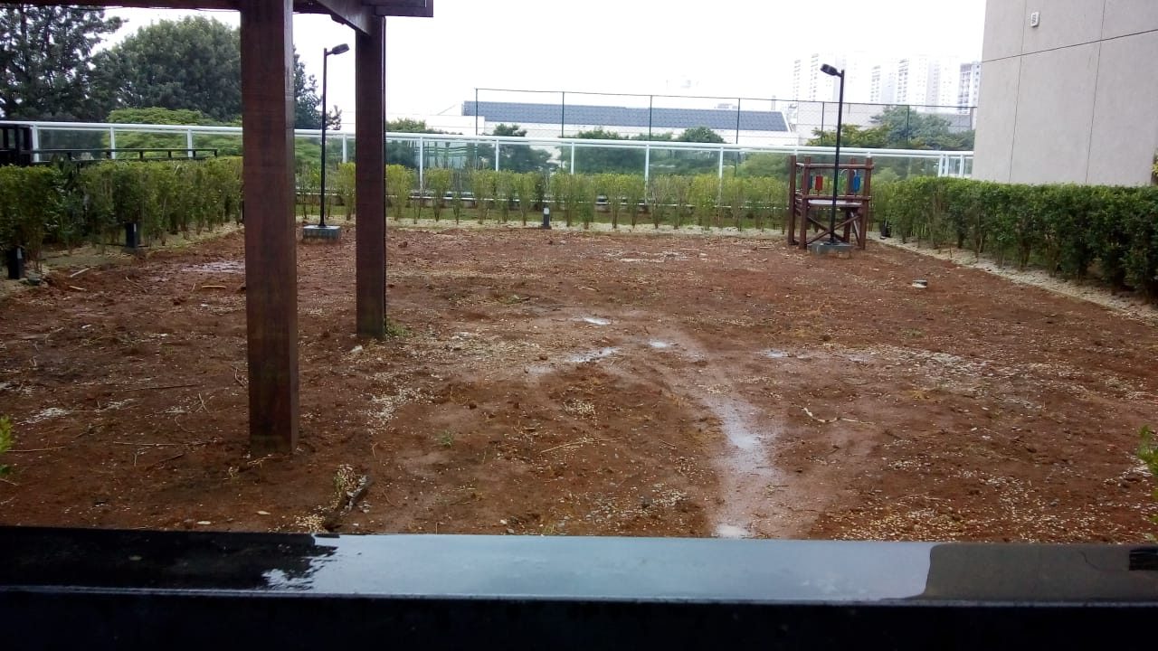 Terreno com a grama devidamente removida